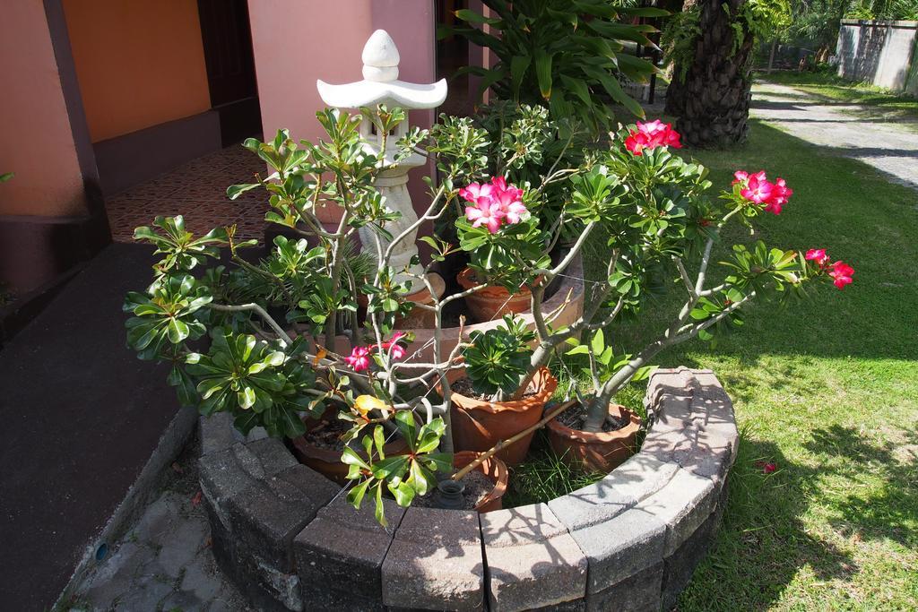 Co Co House Samui Gjestgiverier Mae Nam